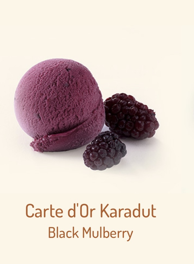 Black mulberry ice ceeam